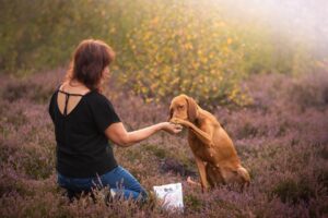Karma hipoalergiczna dla psa – kiedy jest potrzebna i jak ją wybrać?
