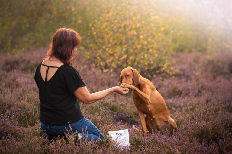 Karma hipoalergiczna dla psa – kiedy jest potrzebna i jak ją wybrać?